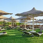 Jaz Makadi Blue - Adults Friendly 16 Years Plus